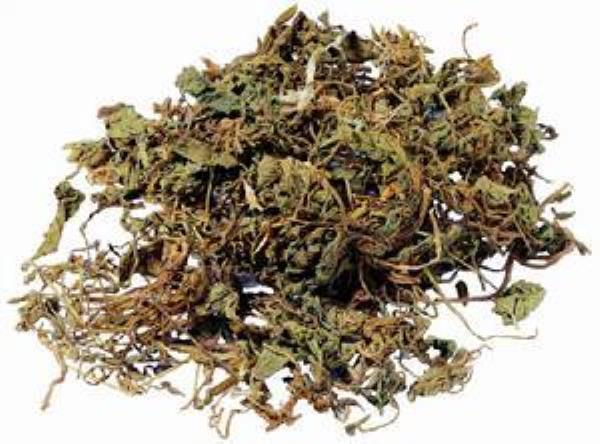 羊菜 第2张 羊菜