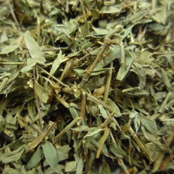 老鸦须 第1张 老鸦须
