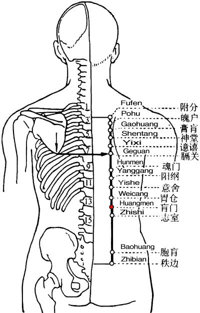 肓门