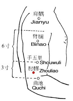 肘髎 第1张 肘髎