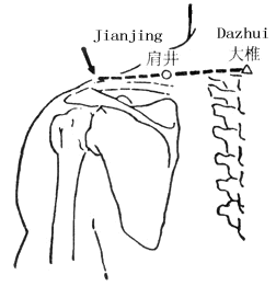 肩井 第1张 肩井