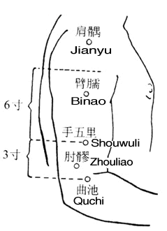 肩髃
