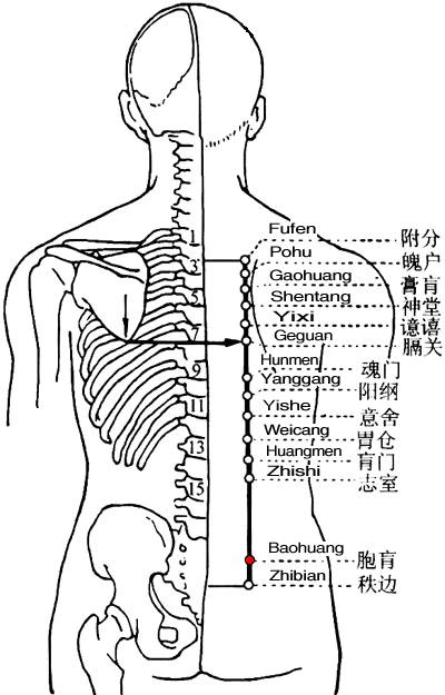 胞肓