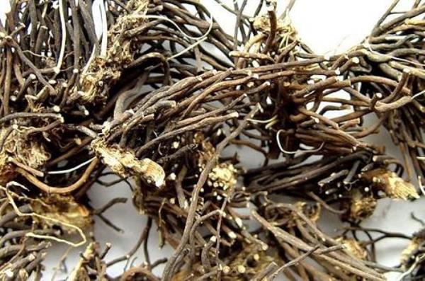 能消 第2张 能消