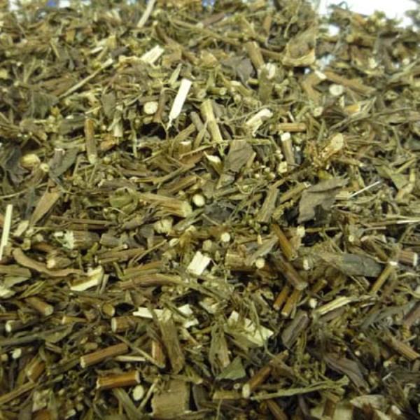 脚板蒿 第1张 脚板蒿