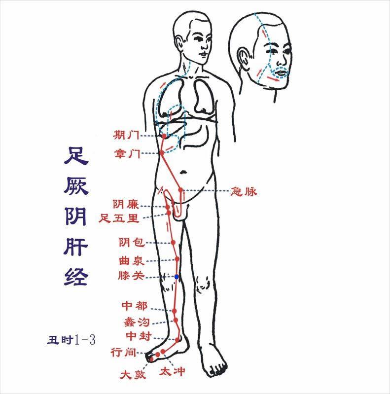 膝关 第1张 膝关