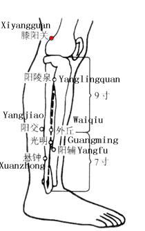 膝阳关 第1张 膝阳关