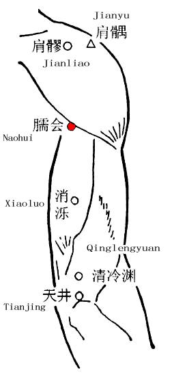臑会 第1张 臑会