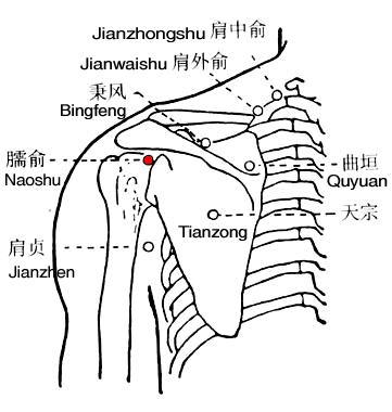 臑俞