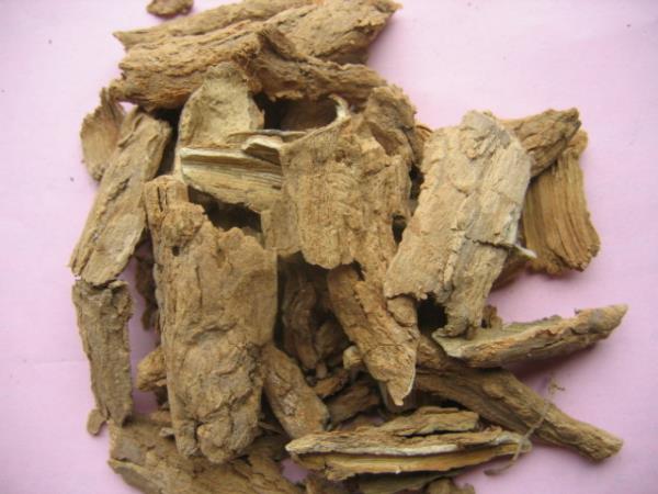 臭椿根皮 第1张 臭椿根皮