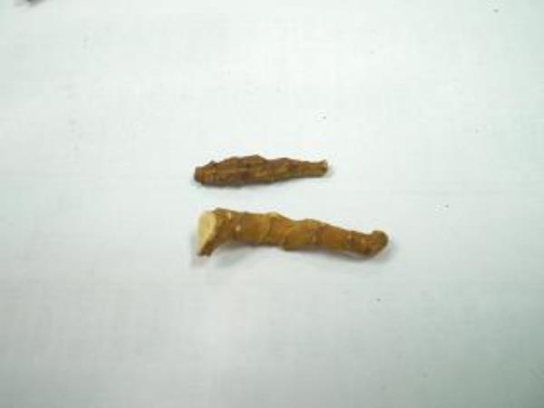 节朴 第2张 节朴