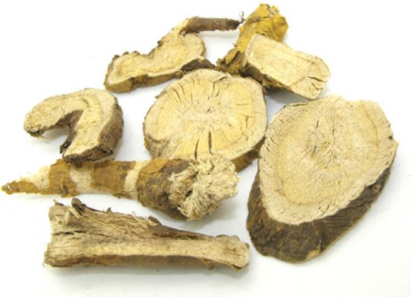 苦参 第2张 苦参