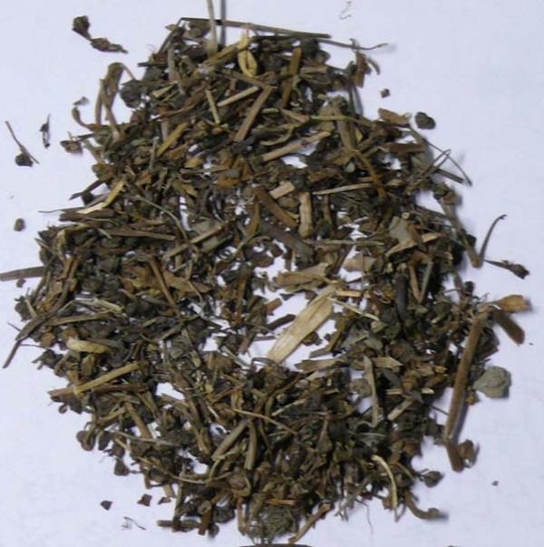 英桃草 第1张 英桃草