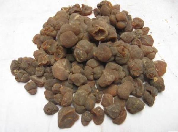 草贝 第2张 草贝