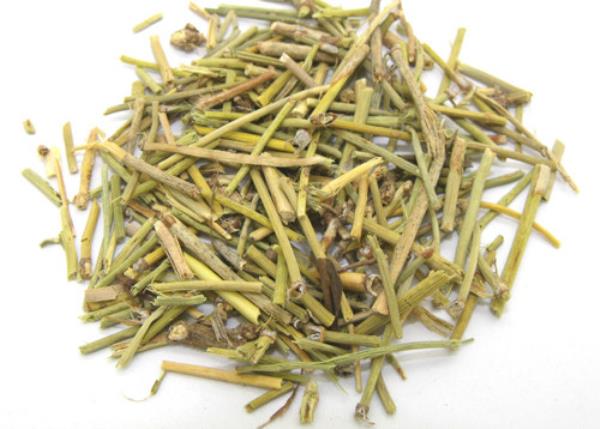 草麻黄 第2张 草麻黄