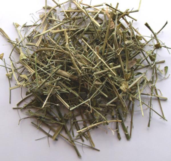 荠花 第1张 荠花