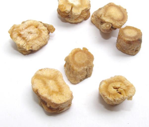 莱阳参 第1张 莱阳参