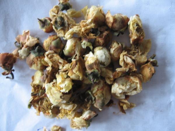菅花 第1张 菅花