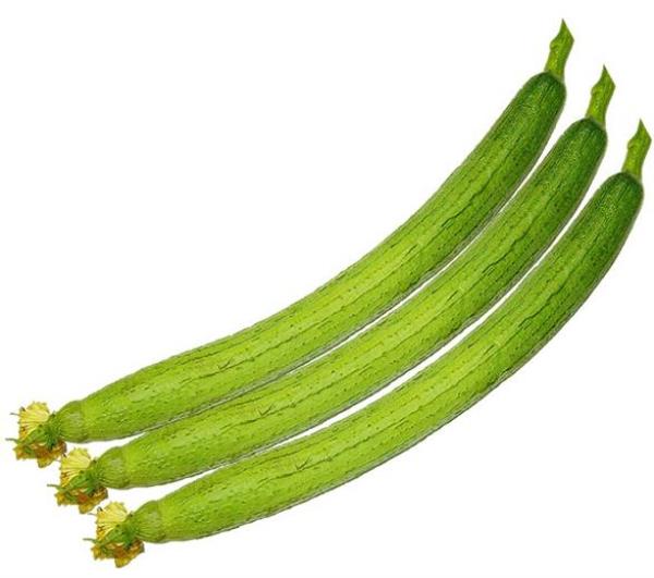 菜瓜 第1张 菜瓜