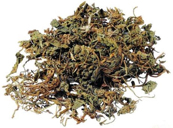 萝卜缨 第1张 萝卜缨