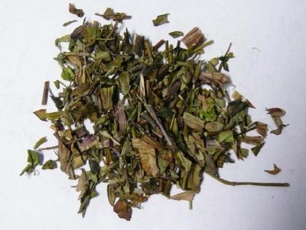 蔓龙胆 第1张 蔓龙胆