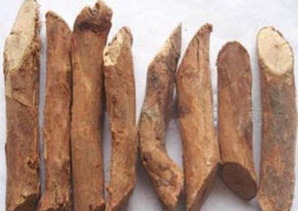 蔷薇根 第1张 蔷薇根