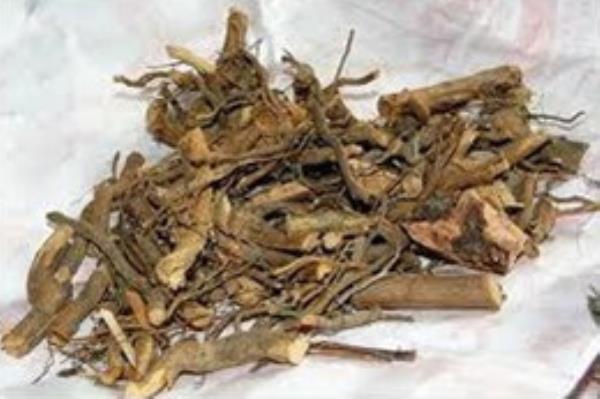 虎波草 第2张 虎波草