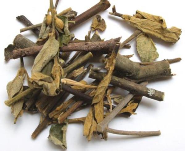蜜桶花 第1张 蜜桶花