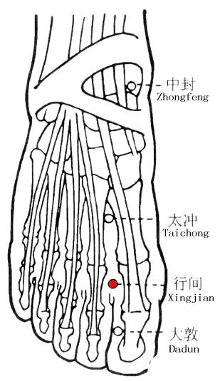 行间 第1张 行间