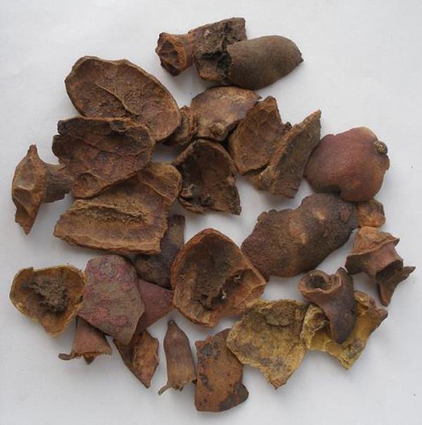 西榴皮 第2张 西榴皮