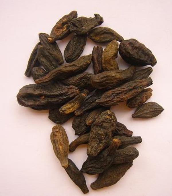 諫果 第1张 諫果