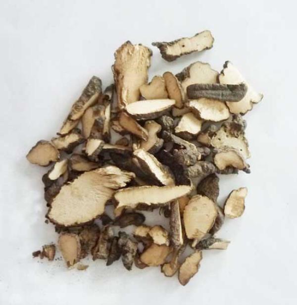 豕橐 第1张 豕橐