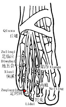 足窍阴 第1张 足窍阴