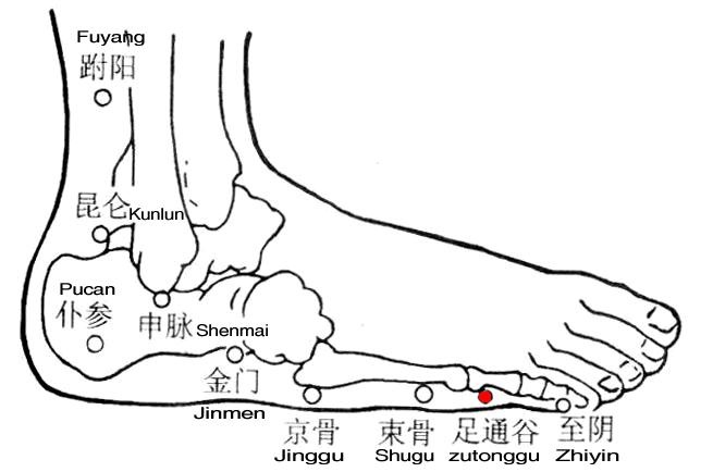 足通谷 第1张 足通谷