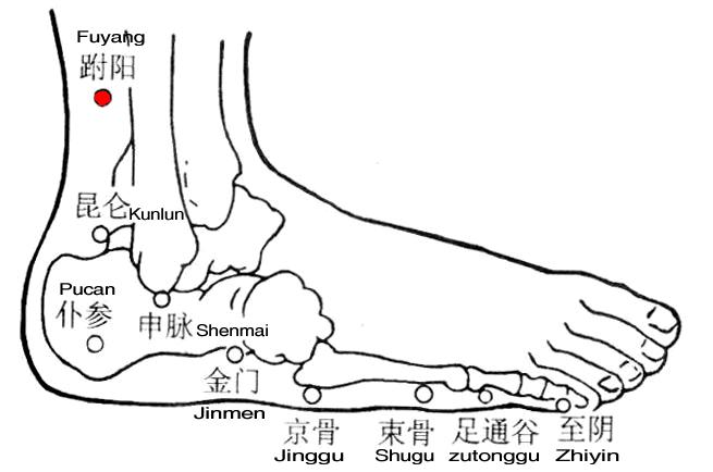 跗阳 第1张 跗阳