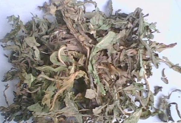车前菜 第2张 车前菜