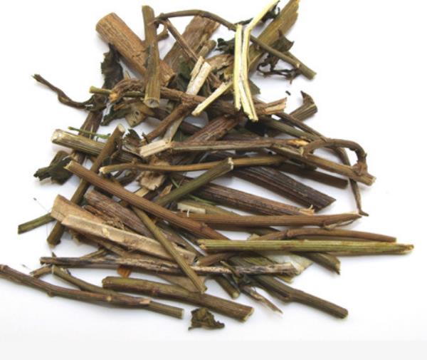 软藤黄花草 第2张 软藤黄花草
