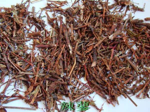 辣蓼草 第1张 辣蓼草