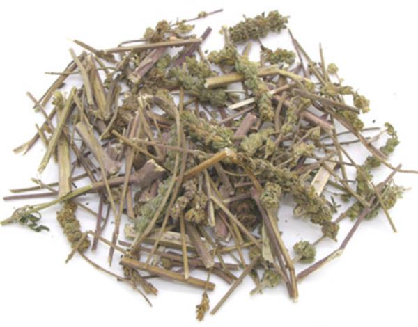 郑芥 第2张 郑芥