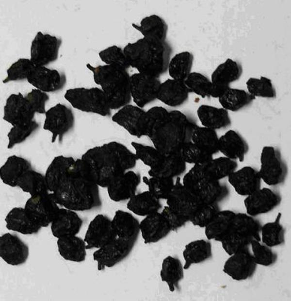 醋柳果 第1张 醋柳果