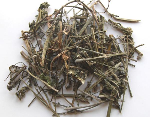 野荆芥 第2张 野荆芥