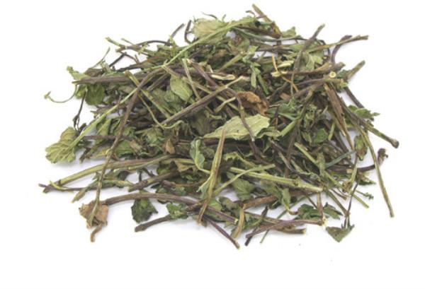 金叶薄荷 第2张 金叶薄荷