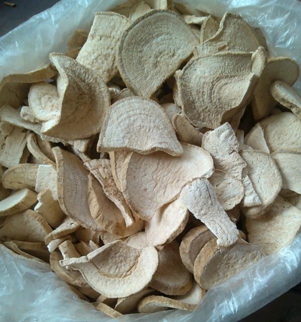 铁罗伞 第1张 铁罗伞