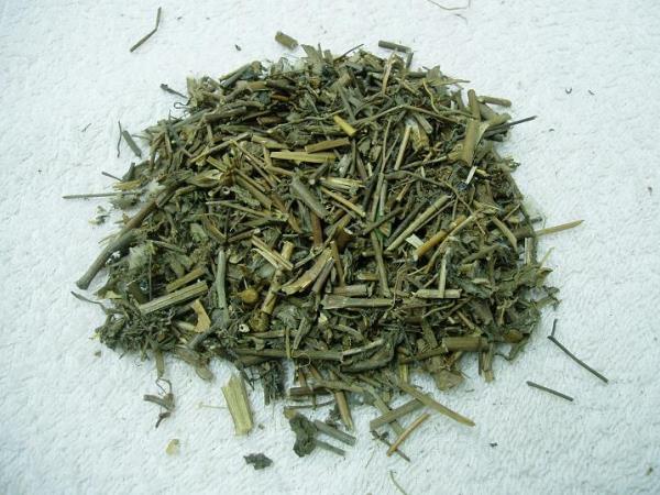 铁骨伞 第1张 铁骨伞