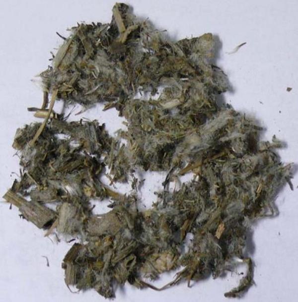 铜盘一枝香 第1张 铜盘一枝香
