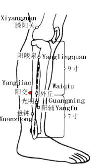 阳交 第1张 阳交