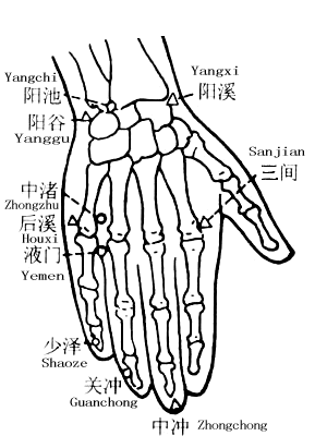 阳池