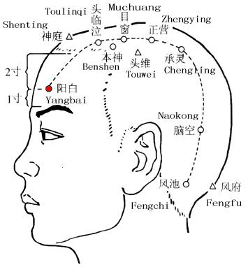 阳白