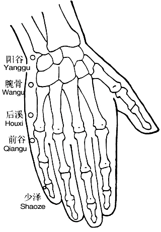 阳谷