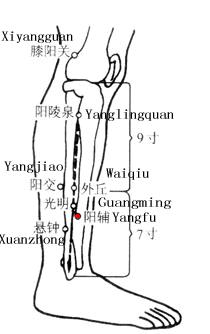 阳辅 第1张 阳辅